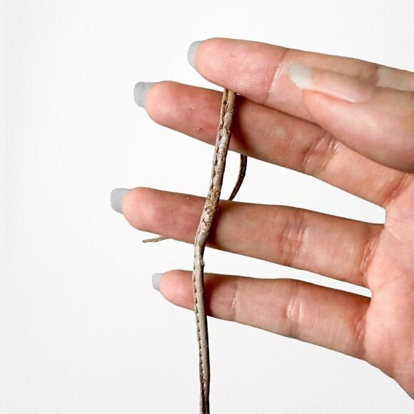 Zara Nude Beige Brown Goat Leather Lace Up Ballet Flats Size 6 - Picture 9 of 10